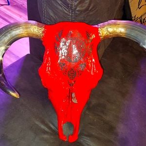 Authentic bull skull